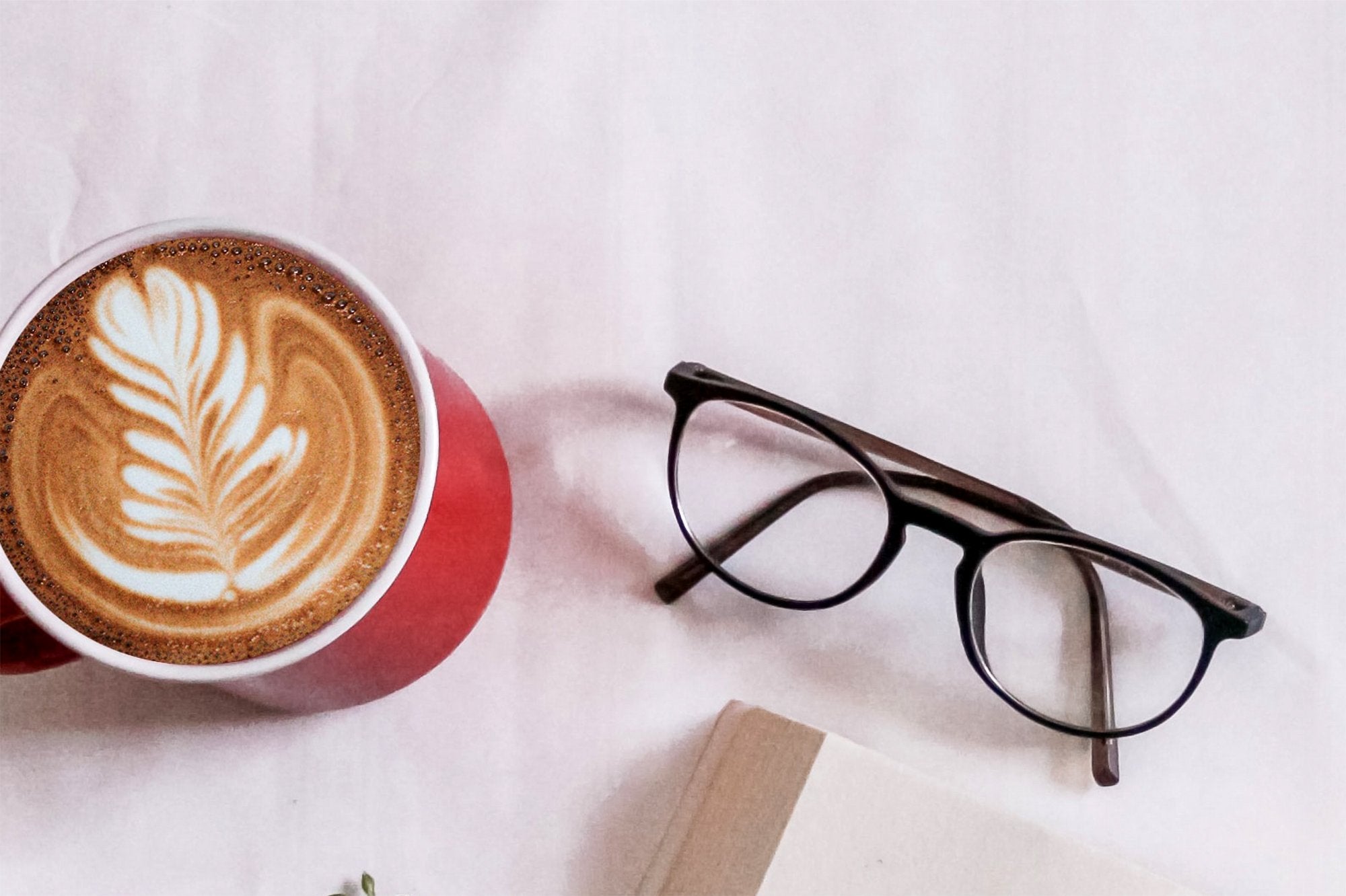 Women’s Fashion Buying Reading Glasses