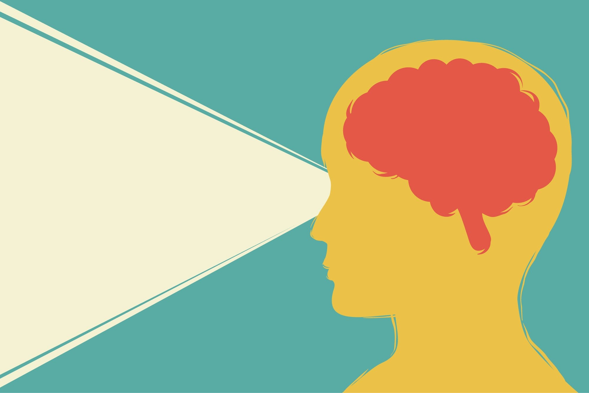 the part of the brain that controls vision is located in the