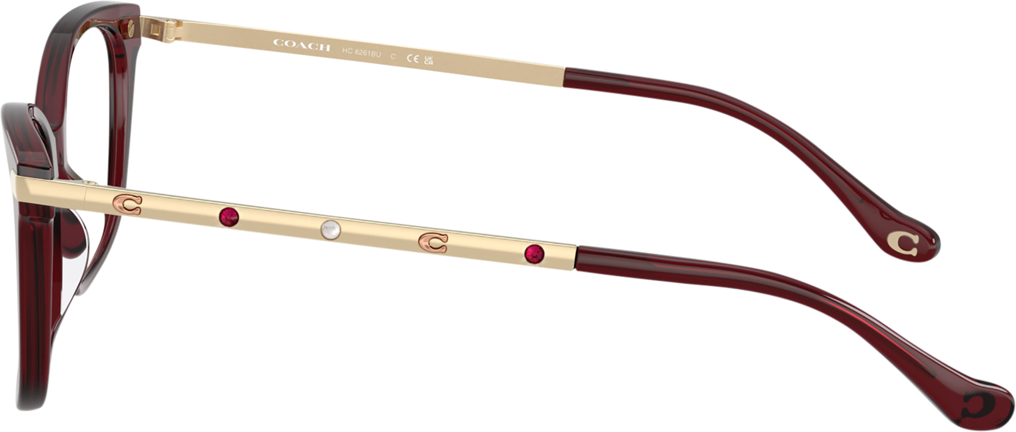 Milky Eggplant Coach 6261BU Single Vision Full Frame