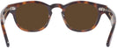 Round Amber Kala Kalifornia Progressive No-Line Reading Sunglasses View #4