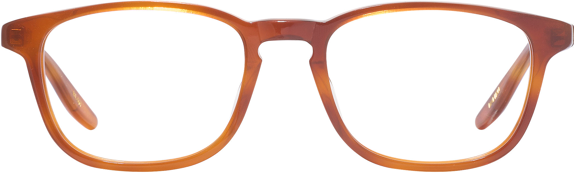 Tokyo Tortoise Kala Malibu Computer Style Progressive