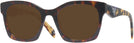 Square Havana Prada A05V Progressive No-Line Reading Sunglasses View #1