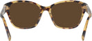 Square Havana Ralph Lauren 6236U Progressive No-Line Reading Sunglasses View #4