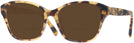 Square Havana Ralph Lauren 6236U Bifocal Reading Sunglasses View #1