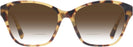 Square Havana Ralph Lauren 6236U w/ Gradient Bifocal Reading Sunglasses View #2