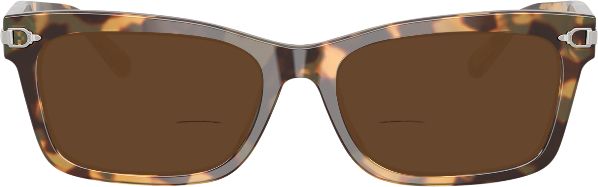 Ralph Lauren Glass with a Bonus Reading Sunglasse Ralph Lauren 6255U Bifocal Reading Sunglasses  main image 2
