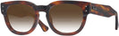 Square Striped Havana Ray-Ban 0298V w/ Gradient Bifocal Reading Sunglasses View #1