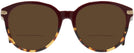 Round Burgundy/tortoise Coach 8140 Bifocal Reading Sunglasses View #2