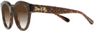Round Tortoise Glitter Coach 8265 w/ Gradient Bifocal Reading Sunglasses View #3
