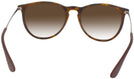 Round Havana Ray-Ban 4171 w/ Gradient Progressive No-Line Reading Sunglasses View #4