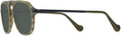 Square Olive Horn/black Canali CO219A Progressive No Line Reading Sunglasses View #3