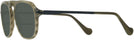 Square Olive Horn/black Canali CO219A Bifocal Reading Sunglasses View #3