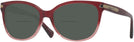Square SHIMMER BURGUNDY PINK GRADIENT Coach 8132 Bifocal Reading Sunglasses View #1