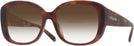 Butterfly Caramel Tortoise Coach 8363U w/ Gradient Bifocal Reading Sunglasses View #1