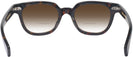 Square Classic Tortoise Kala 8mm w/ Gradient Bifocal Reading Sunglasses View #4