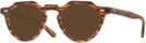 Round Honey Brown Kala Arty Progressive No-Line Reading Sunglasses View #1