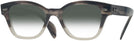 Wayfarer GRADIENT GREY HAVANA Ray-Ban 0880 w/ Gradient Progressive No-Line Reading Sunglasses View #1