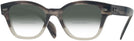 Wayfarer GRADIENT GREY HAVANA Ray-Ban 0880 w/ Gradient Bifocal Reading Sunglasses View #1