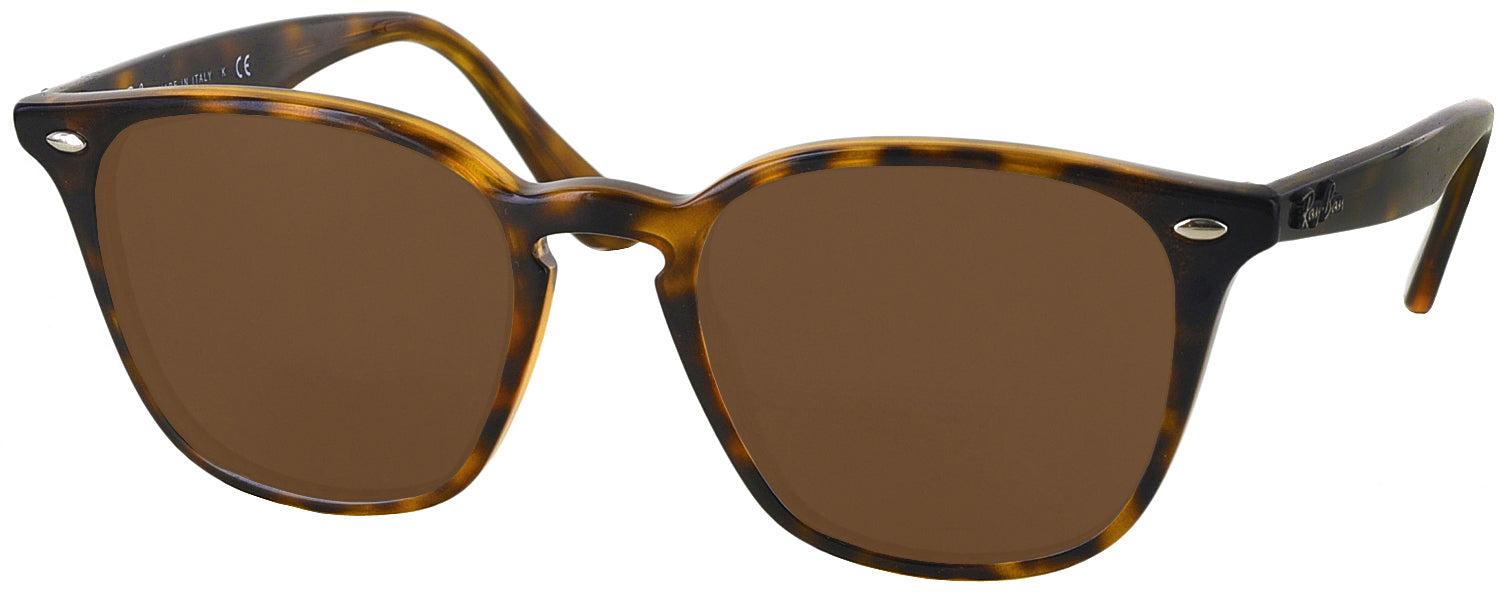Ray ban sale 4258 sunglasses