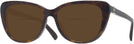 Cat Eye Havana Ralph Lauren 6232U Bifocal Reading Sunglasses View #1
