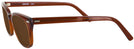 Wayfarer Brown Smoke Shuron Freeway 54 (Mens XL Fit) Bifocal Reading Sunglasses View #3