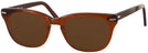 Wayfarer Brown Smoke Shuron Freeway 54 (Mens XL Fit) Bifocal Reading Sunglasses View #1