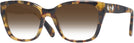 Square Havana Clear Swarovski 2008 w/ Gradient Progressive No-Line Reading Sunglasses View #1
