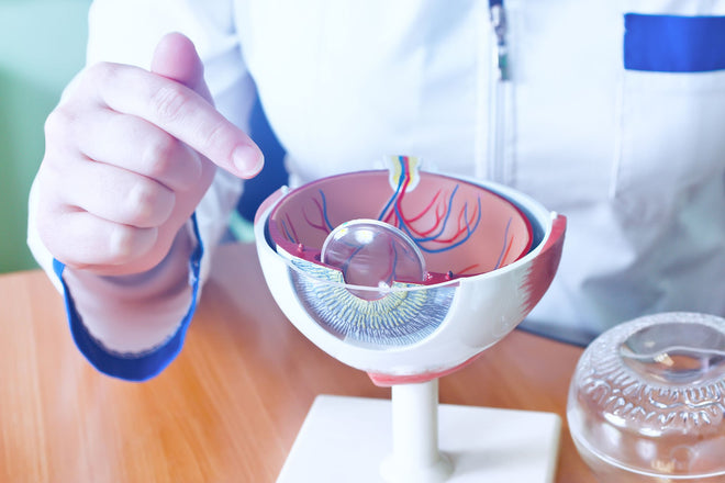 What’s the Connection Between Cataracts and Macular Degeneration
