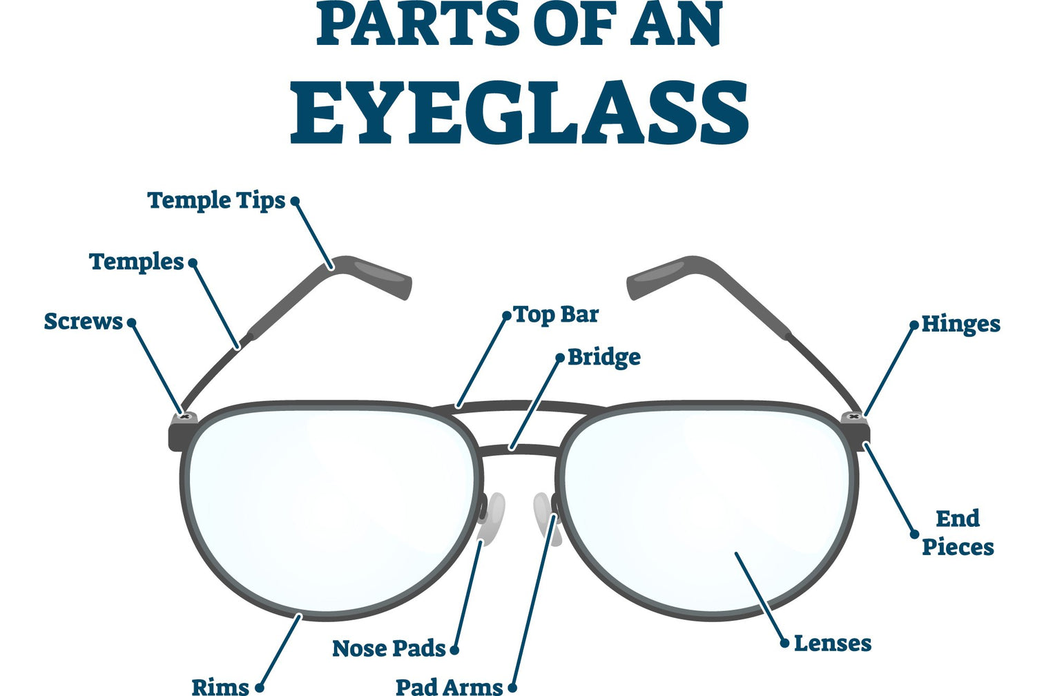 Parts of Eyeglasses Anatomy of Glasses