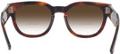 Square Striped Havana Ray-Ban 0298V w/ Gradient Bifocal Reading Sunglasses View #4