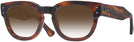 Square Striped Havana Ray-Ban 0298V w/ Gradient Progressive Reading Sunglasses View #1