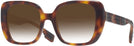 Square,Oversized Light Havana Burberry 4371 w/ Gradient Bifocal Reading Sunglasses View #1
