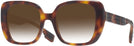 Square,Oversized Light Havana Burberry 4371 w/ Gradient Progressive Reading Sunglasses View #1