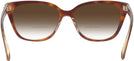 Square Dark Tortoise/canary Coach 6226U w/ Gradient Bifocal Reading Sunglasses View #4
