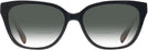 Square Black/transparent Blush Coach 6226U w/ Gradient Bifocal Reading Sunglasses View #2