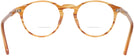 Round SUNSET TORTOISE Kala 905 Bifocal View #4