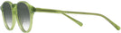 Round Lime Green Kala 905 w/ Gradient Bifocal Reading Sunglasses View #3