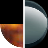 Black With Tortoise/Neutral Grey Lens swatch