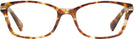 Square Amber Tortoise Coach 6065 Single Vision Full Frame View #2