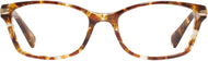 Amber Tortoise #2