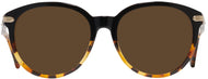 Black Tortoise #2