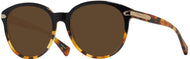 Black Tortoise #1