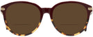 Round Burgundy/tortoise Coach 8140 Bifocal Reading Sunglasses View #2
