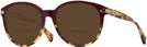 Round Burgundy/tortoise Coach 8140 Bifocal Reading Sunglasses View #1