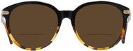 Black Tortoise #2