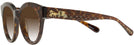 Round Tortoise Glitter Coach 8265 w/ Gradient Progressive Reading Sunglasses View #3