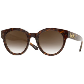Coach 8265 w/ Gradient Progressive Reading Sunglasses
