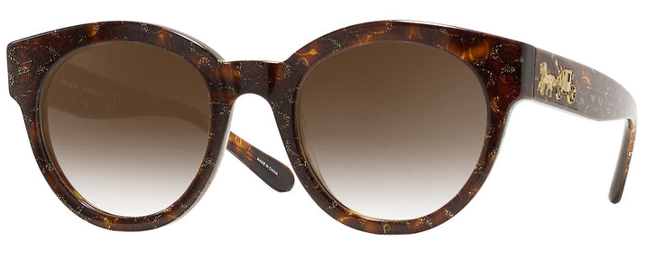 Round Tortoise Glitter Coach 8265 w/ Gradient Progressive Reading Sunglasses View #1