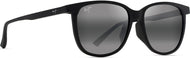 Matte Black/Neutral Gray Lens #1