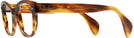 Wayfarer Striped Havana Ray-Ban 0880 Single Vision Full Frame View #3